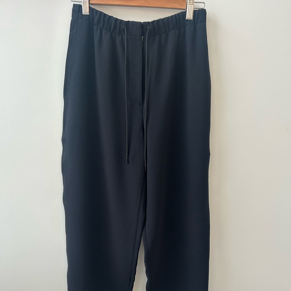 Aritzia Black Pants